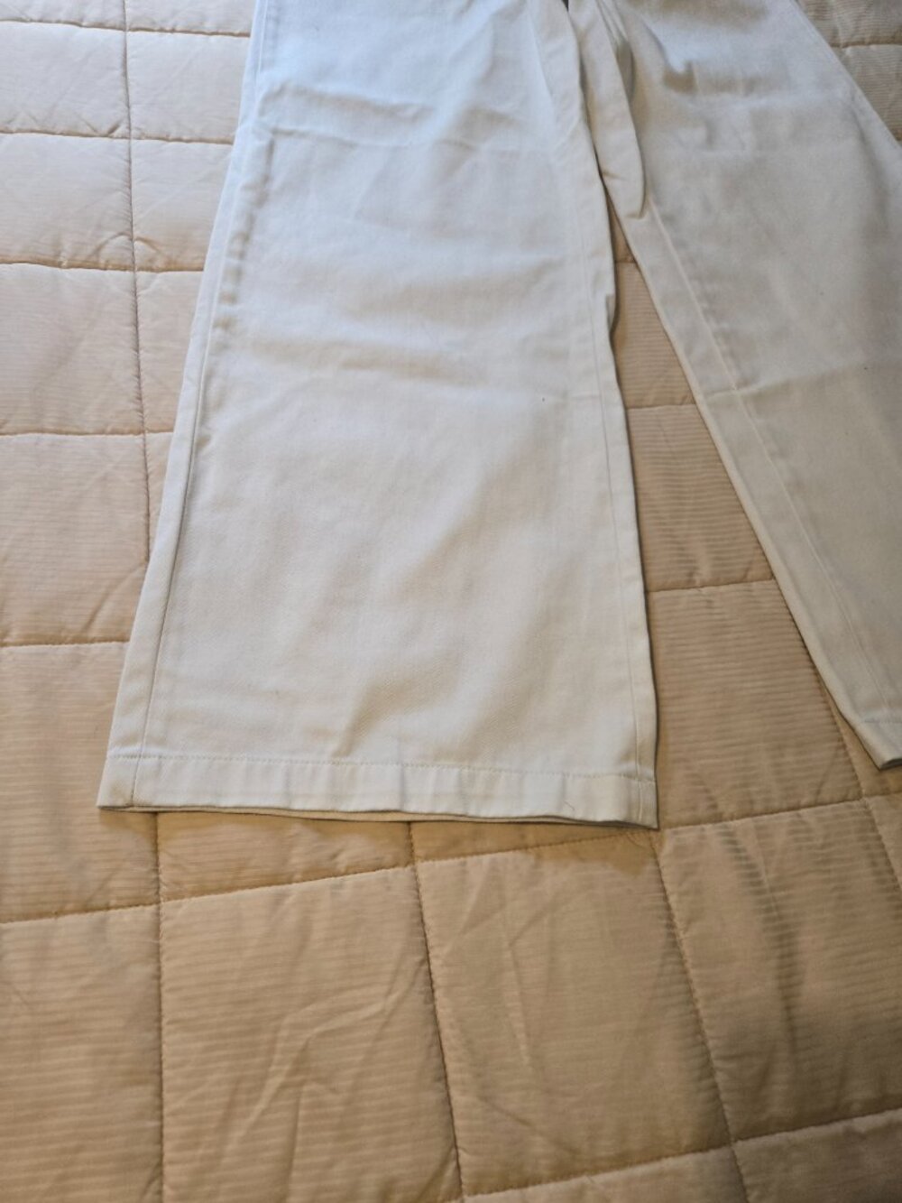 Dickies - Picture 2 of 6